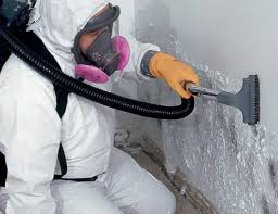 Asbestos and Lead Testing During Mold Inspection in Tarpey Village, CA